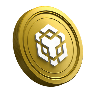 Página de guía para nuevos traders con una moneda de la criptomoneda Binance BNB
